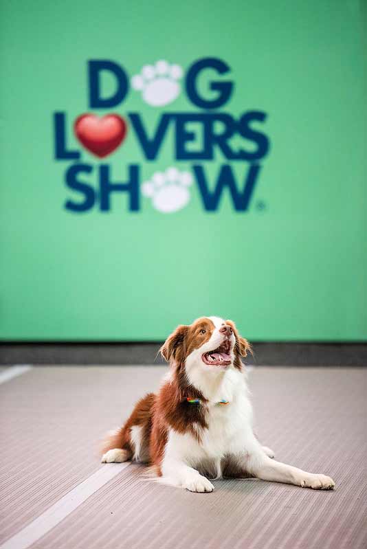 dog-lovers-show-melbourne